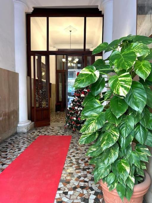 Apartment Casa Mia Nel Cuore Di *